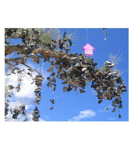 Above : Passport - Image 5