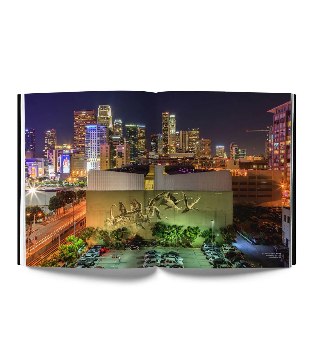 Faith47 Ex Animo - Image 4