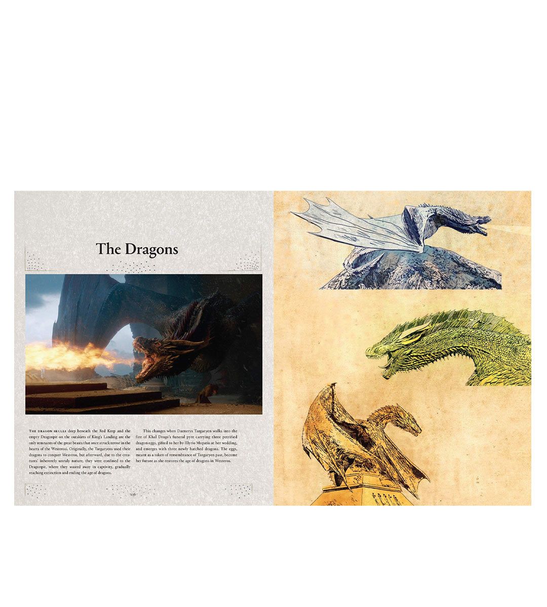 Game of Thrones - A Guide To Westeros and Beyond - The Complete Series - Image 3