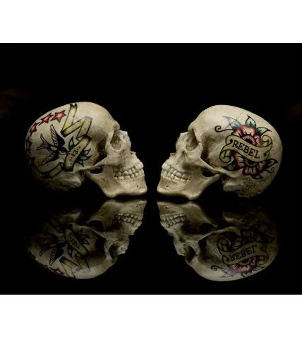 The Book of Skulls - Image 3