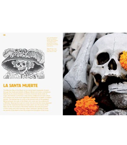 The Book of Skulls - Image 4