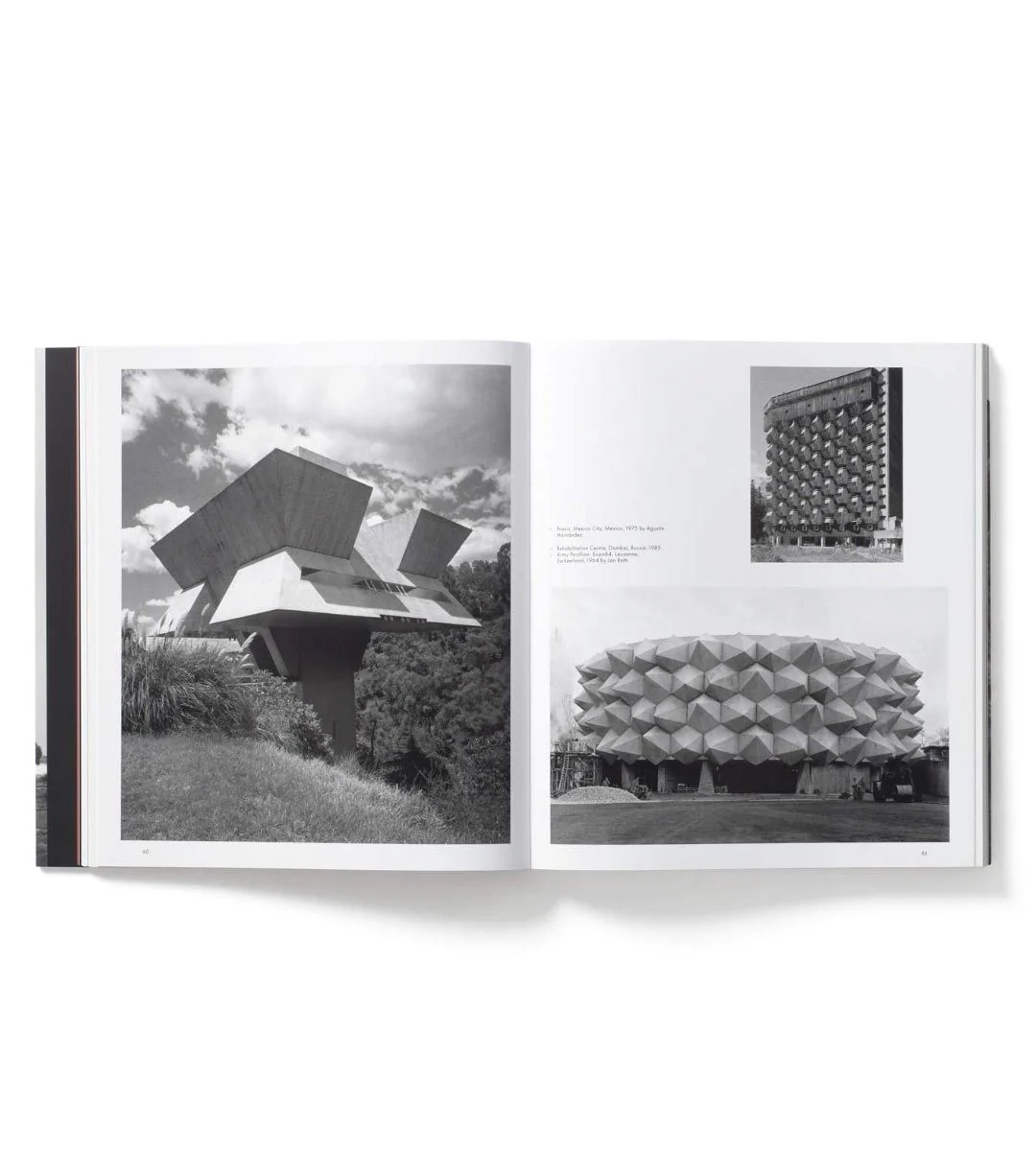 This Brutal World - Image 4